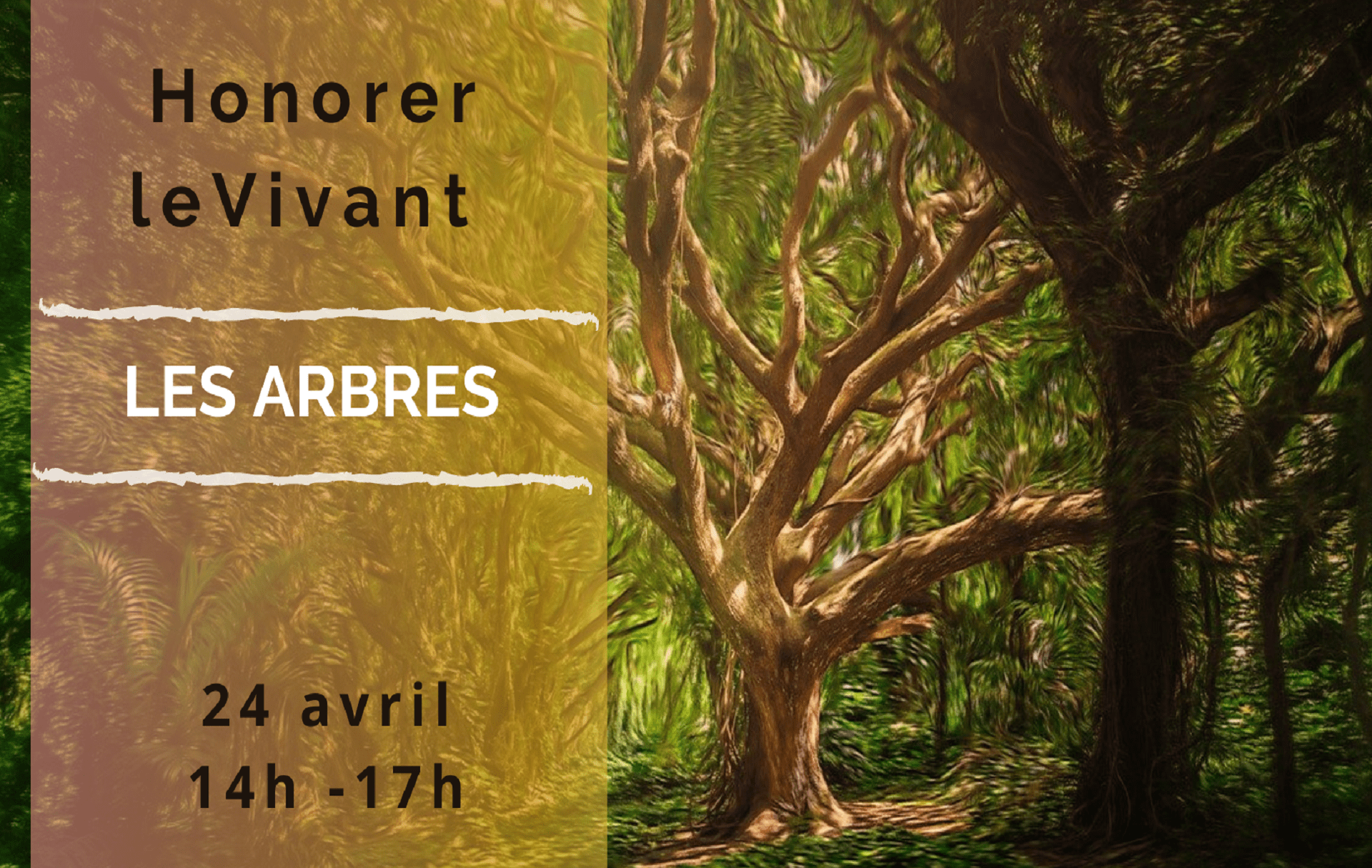 Evénement : Atelier Hypnose et Chamanisme – Honorer le vivant : les Arbres